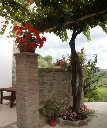 Il Giardino Segreto לינה וארוחת בוקר אוליאסטרו צ'ילנטו